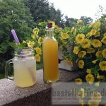 Southern Switchel Summer Drink